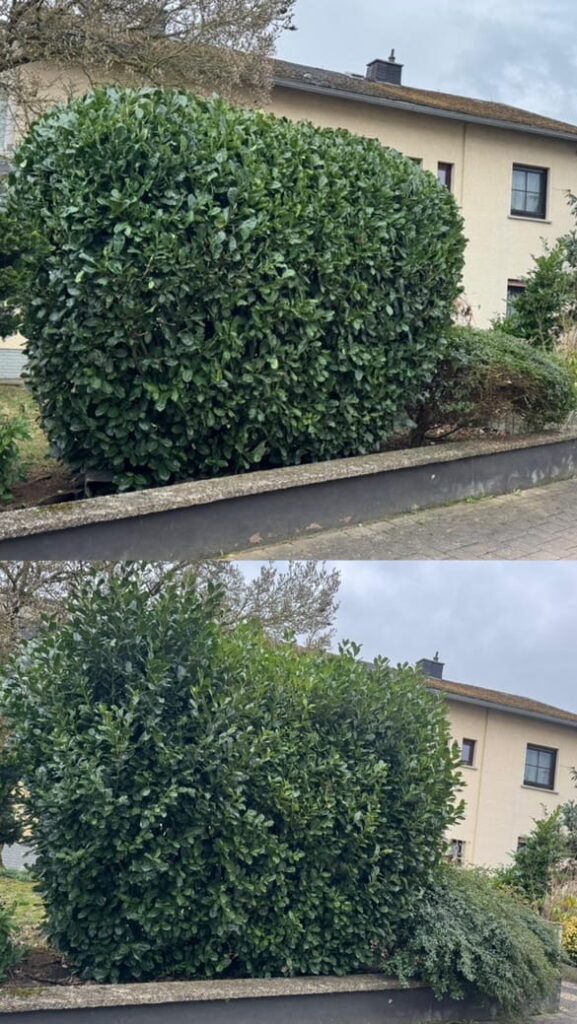 SH Garten & Landschaftsbau