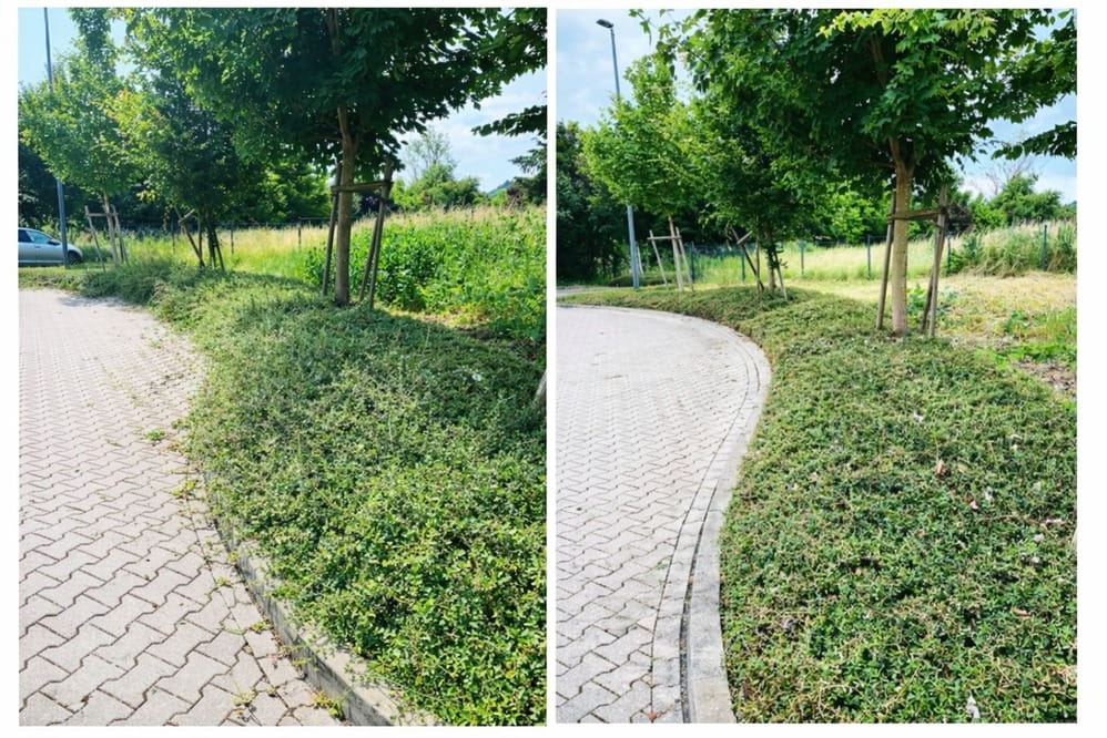 SH Garten & Landschaftsbau | Ihr Partner für Gartenarbeiten