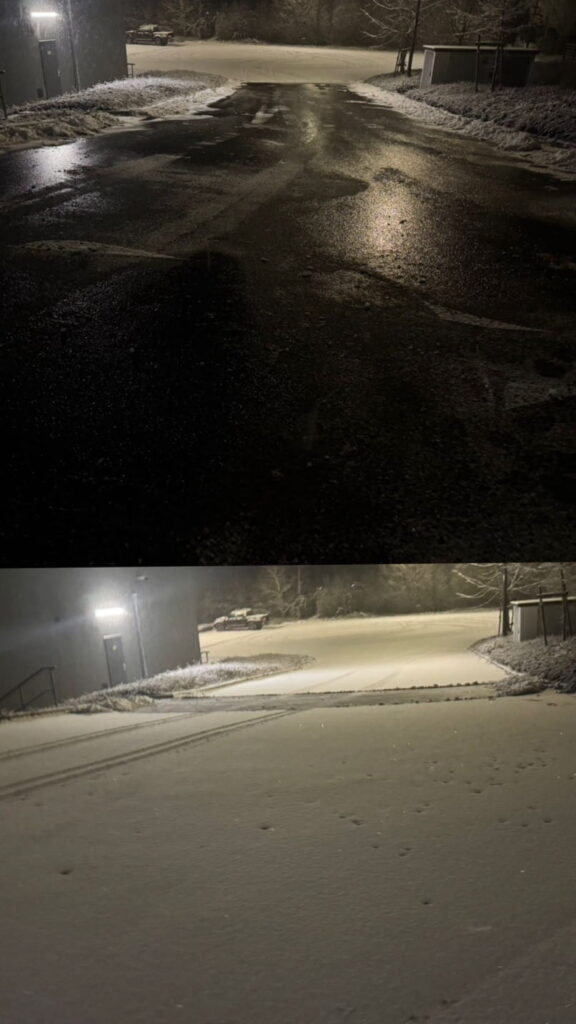 Gartengestaltung & Pflasterarbeiten